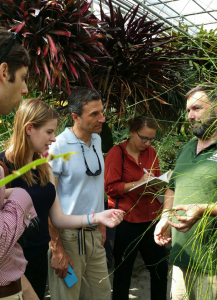 Marc Hachadourian showing a horse-tail plant (Equisetum) to Humanities Fellows