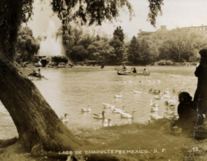 The Lake at Chapultepec Park, Mexico City. Photo ca. 1920.