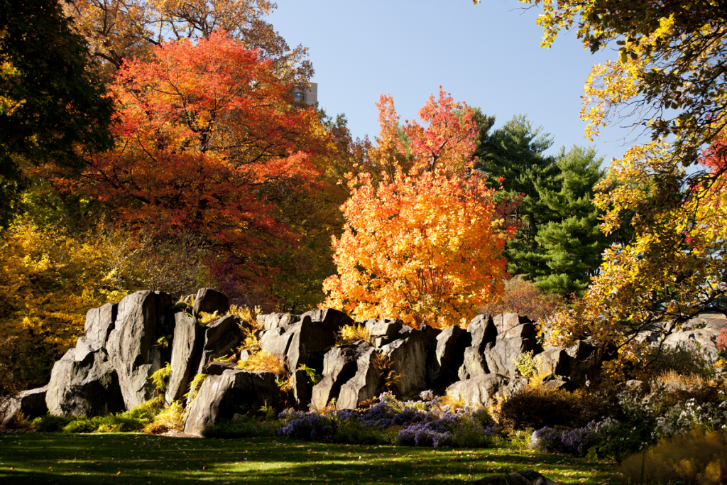 Azalea Garden