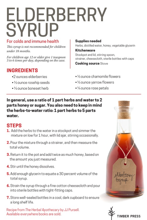 The Herbal Apothecary