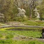 Native Plant Garden