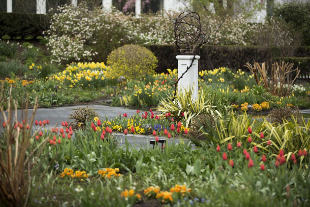 Perennial Garden