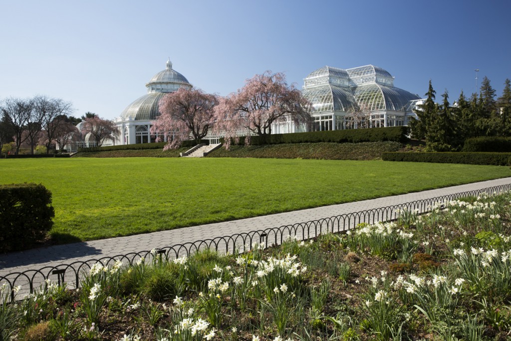 Haupt Conservatory