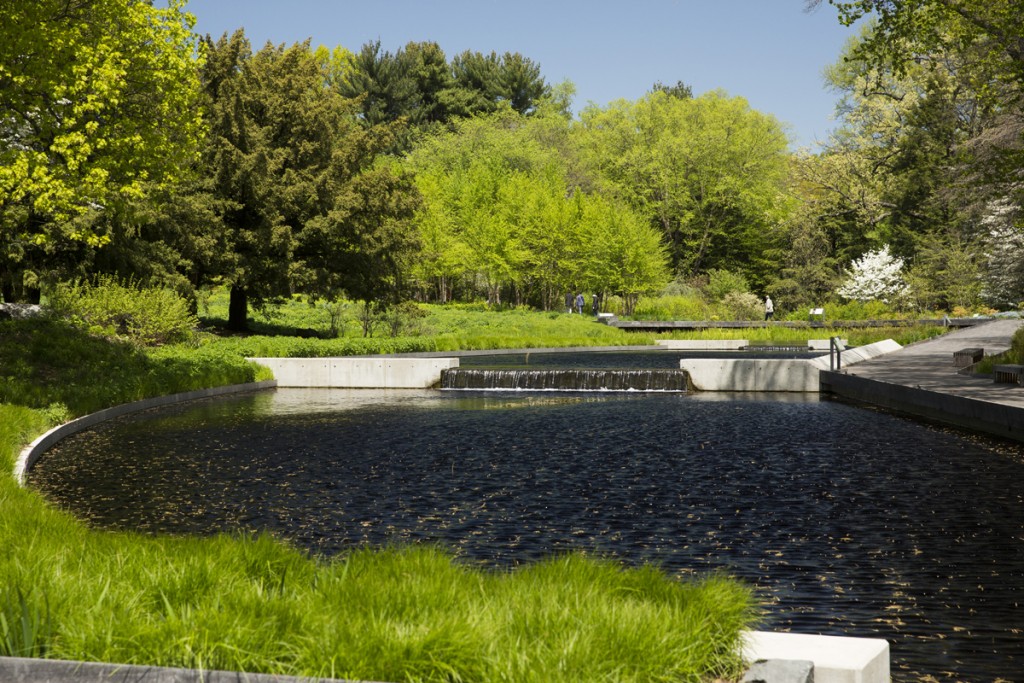 Native Plant Garden