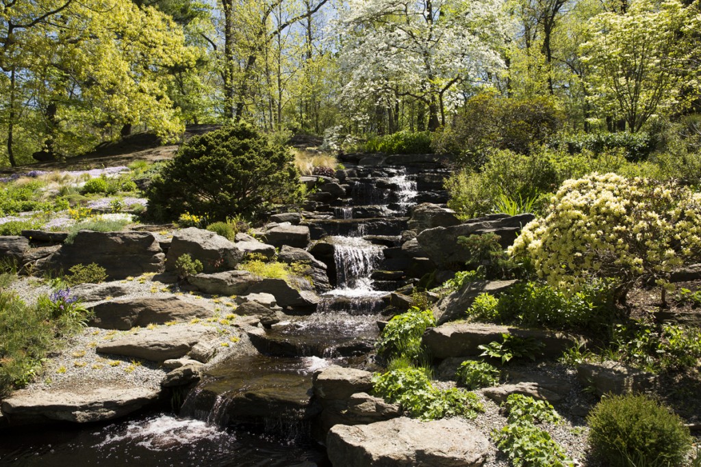 Rock Garden cascade