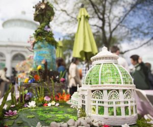 NYBG cake contest