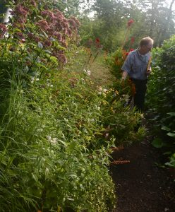 White House Kitchen Pollinator Garden (photo by Marta McDowell)