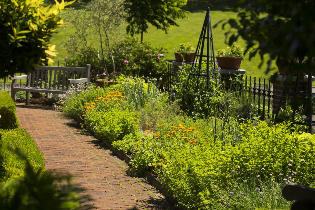 Herb Garden