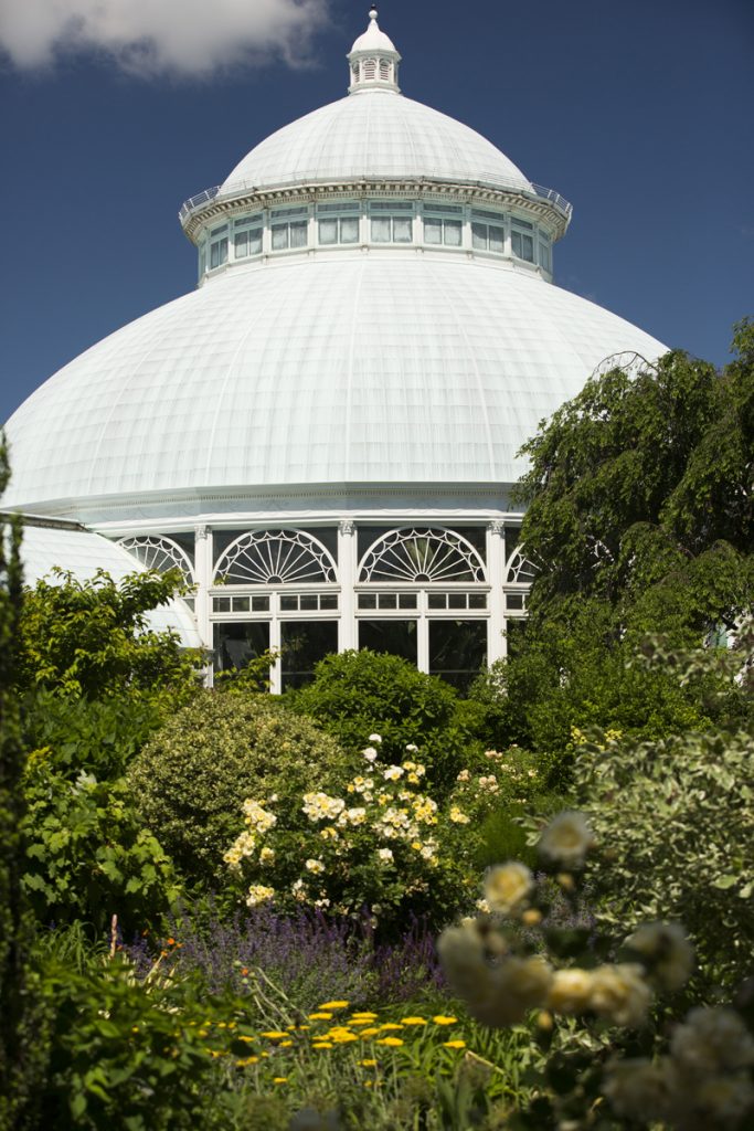 Enid A. Haupt Conservatory