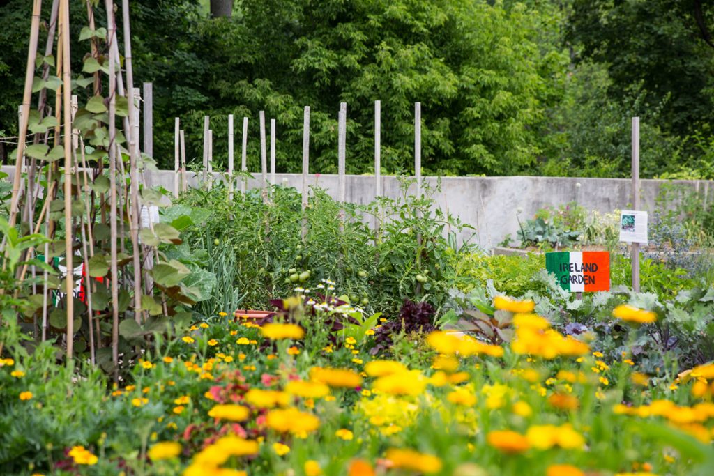 Ruth Rea Howell Family Garden