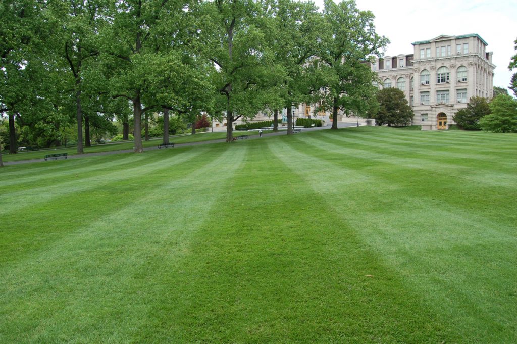 Great Lawn