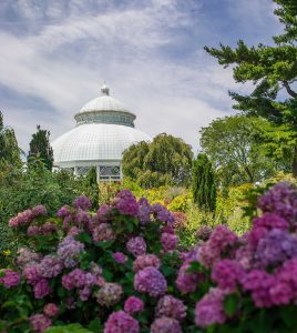 Perennial Garden