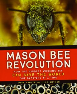 Mason Bee Revolution