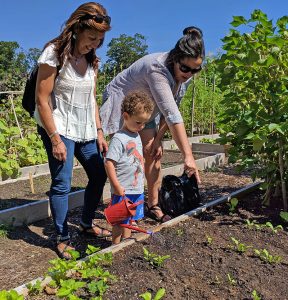 Jane, Liza, and Reuben water plants in the Family Garden.