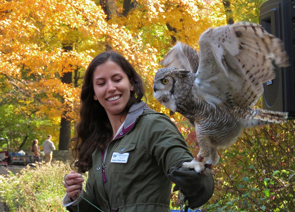 Hooter the Owl