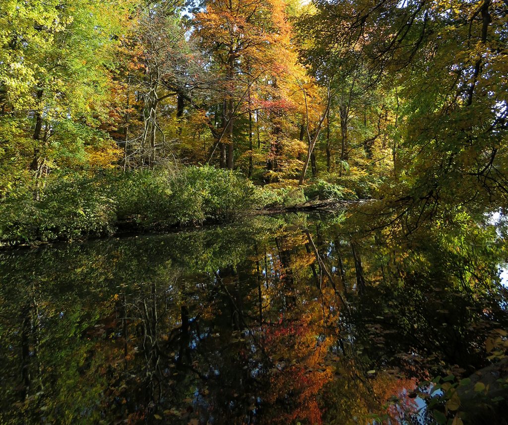 Bronx River