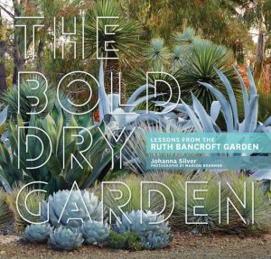 The Bold Dry Garden by Johanna Silver (with Timber Press)