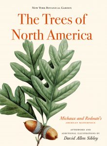 The Trees of North America