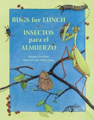 Bugs for Lunch