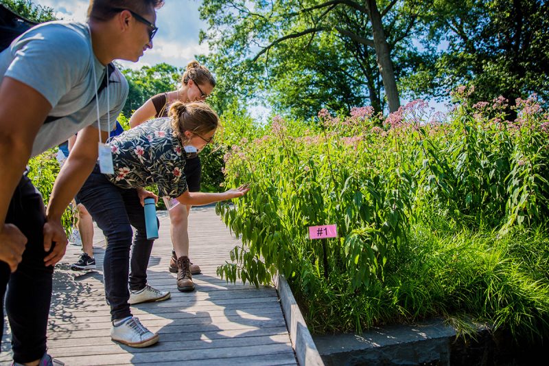 Photo of interns in the Native Plant Garden