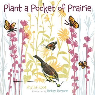 Plant a Pocket Prairie