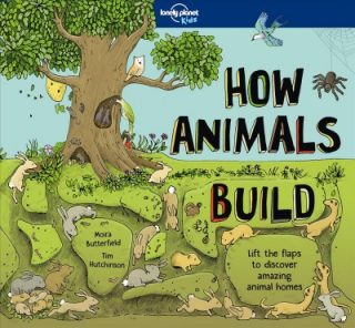 How Animals Build