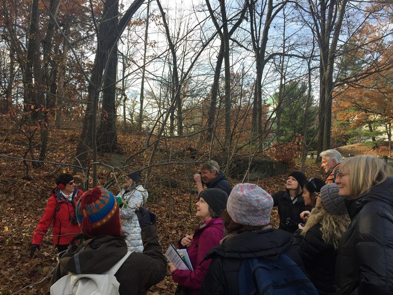 Students examine leaf scars and buds to identify a tree