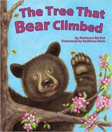 The Tree That Bear Climbed