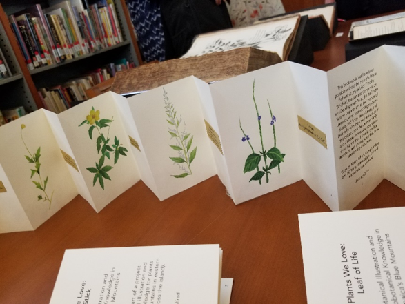 Keren Alfred’s hand-made booklets on the plants of Jamaica