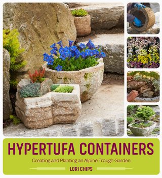 Cover of Hypertufa containers