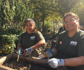 NYC Compost Project