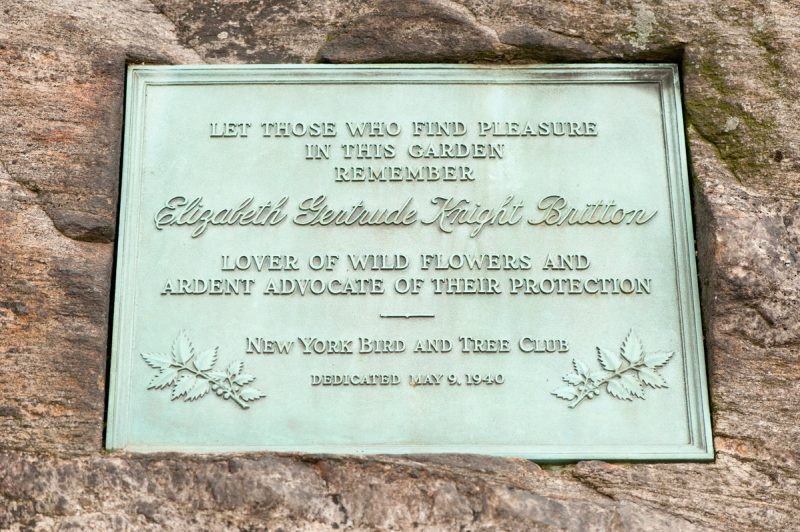 Photo of a plaque commemorating Elizabeth Gertrude Knight Britton