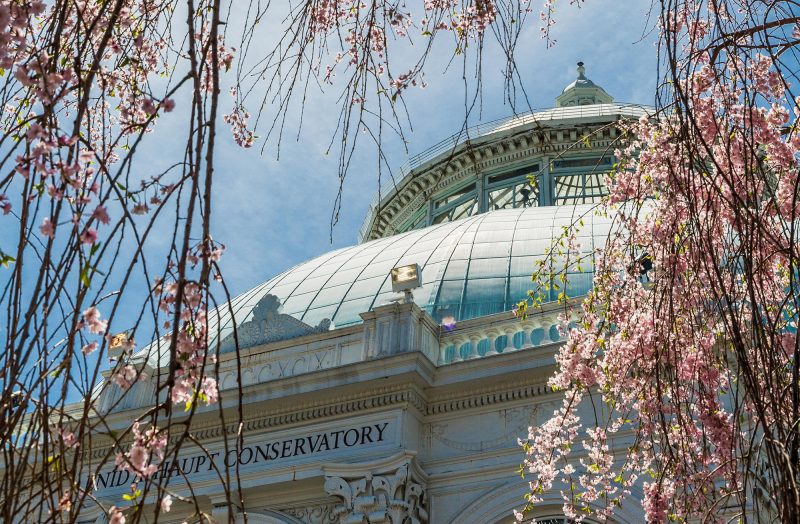 Photo of the Conservatory Dome