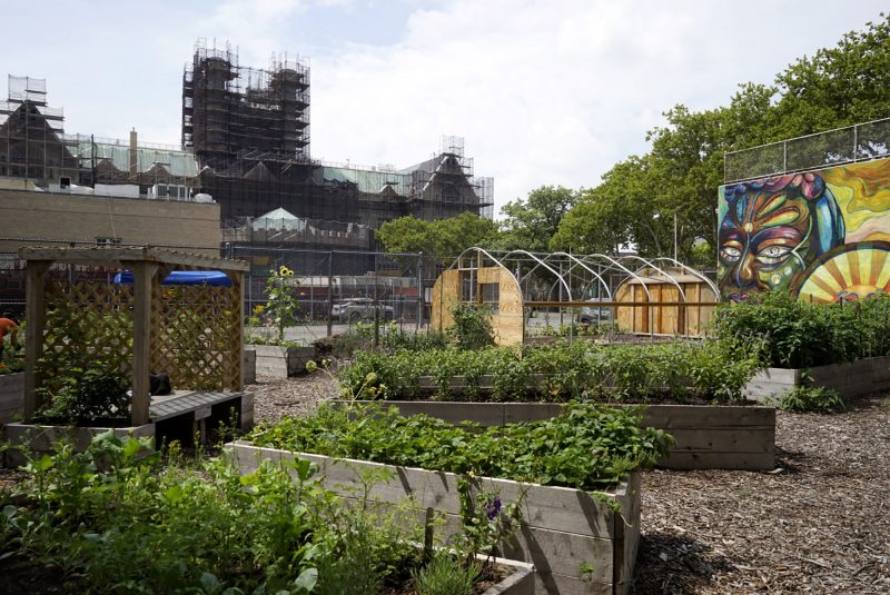 Photo of the Morris Campus Farm