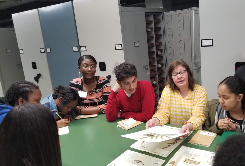 Photo of students in the Herbarium