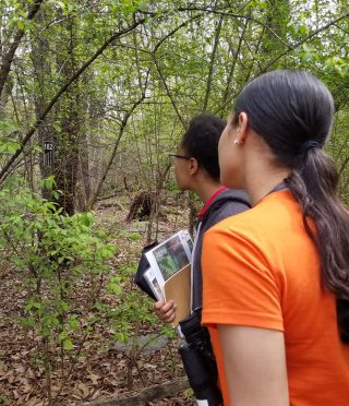 Photo of students in the forest