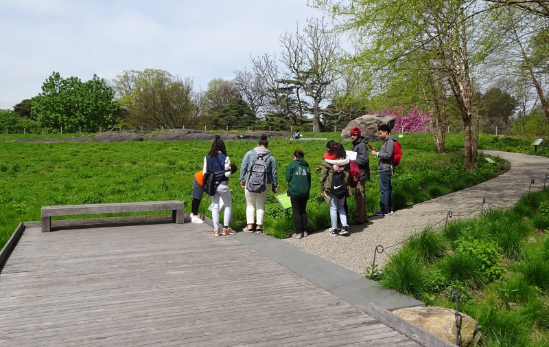 Students in the Native Plant Garden