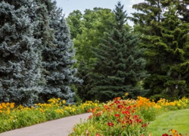 Photo of Daylily/Daffodil Walk