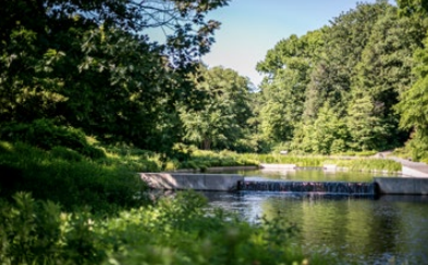 Photo of the Native Plant Garden