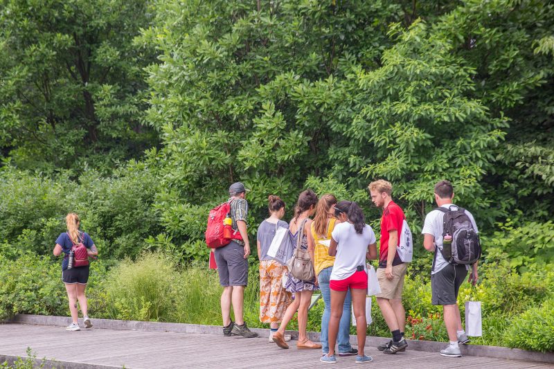 Photo of interns in the Native Plant Garden