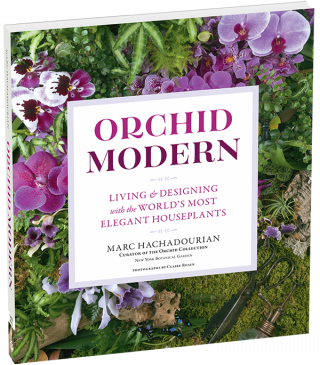 Rendering of the cover of Orchid Modern
