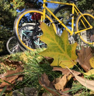 Photo of a bike in fall