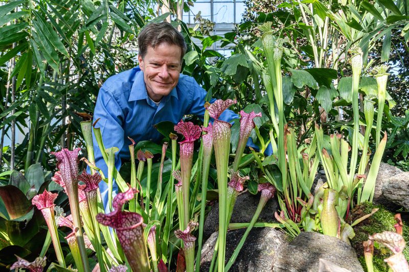 Photo of Robert Naczi among pitcher plants