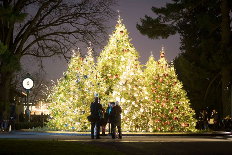Photo of visitors standing before lit trees