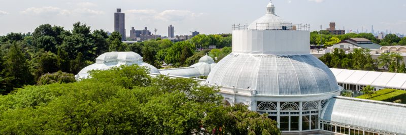 Photo of the Haupt Conservatory being restored