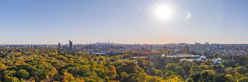 Photo of the Bronx above NYBG