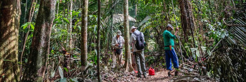 Photo of scientists in the Amazon