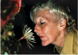 Margaret Mee smelling the night-flowering Strophocactus