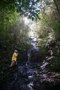 Eldis Becquer on an unnamed creek on the Caribbean slope of the Sierra Maestra