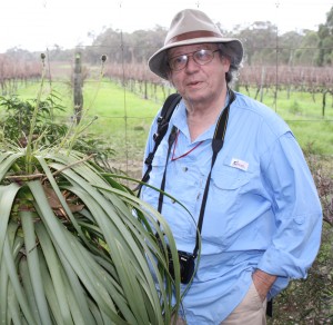 Dennis Stevenson with Dasypogon hookeri. Photo by Paula Rudall, Royal Botanic Garden, Kew.